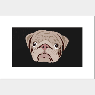 Pug looking silly and goofy Posters and Art